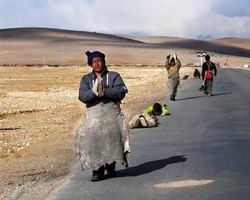 Tibetan Pilgrims Prostrating toward Lhasa