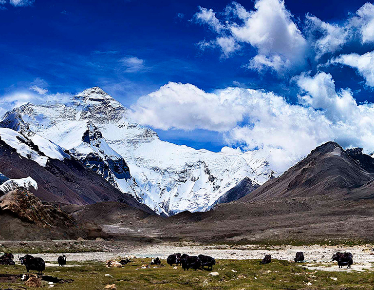 Snow-Capped Mt. Everest and Himalayan Range