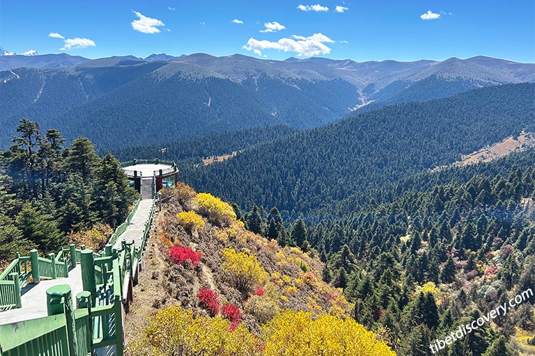 Lulang Forest View in Late October Lulang Forest View in Late October