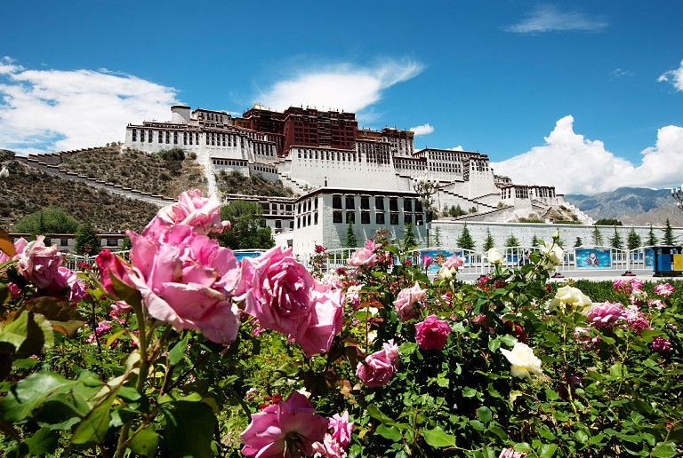 Avoid High Altitude Sickness in Tibet