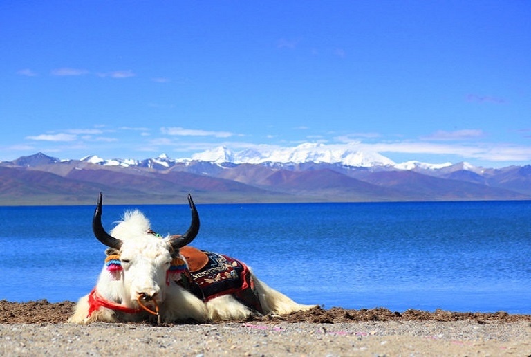 Avoid High Altitude Sickness in Tibet