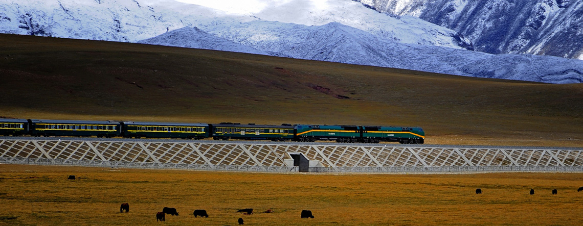 10 Tibet Train Tour