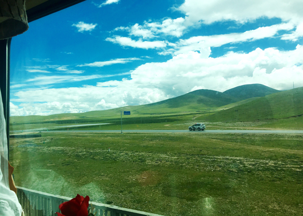 View from the Dining Car on Tibet Train