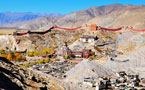 Tibet Photo - Palkor Monastery