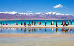 Namtso Landscape