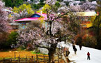 Tibet Photo -Nyingchi Village