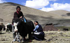 Tibet Photo - Tibetan Village