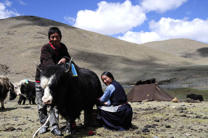 Tibet Photo - Tibetan Village