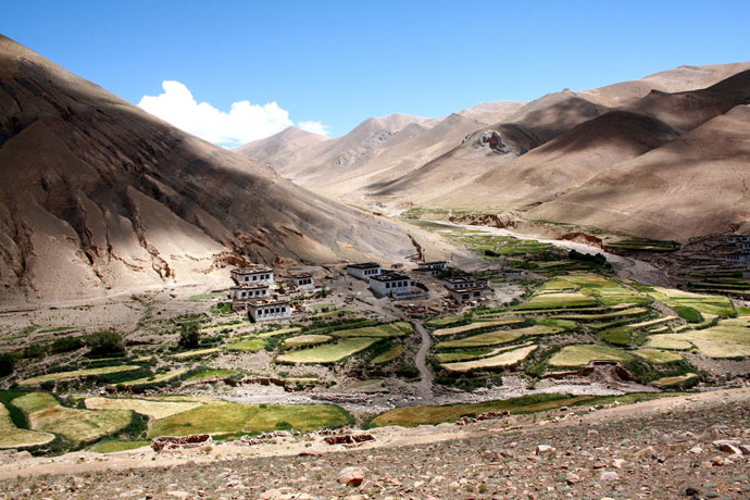 Tibet Photo - Tibetan Village