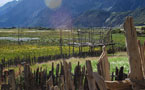 Tibet Photo - Tibetan Village