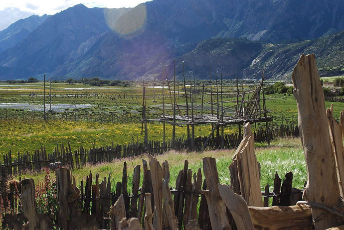 Tibet Photo - Tibetan Village